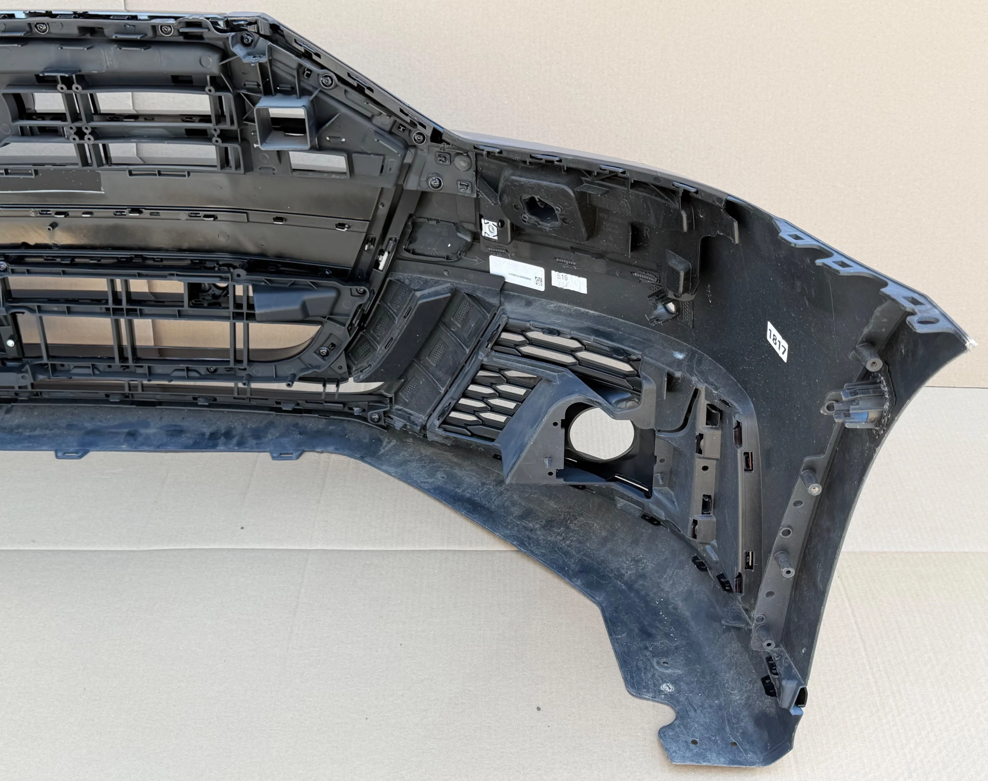miniatura-8
